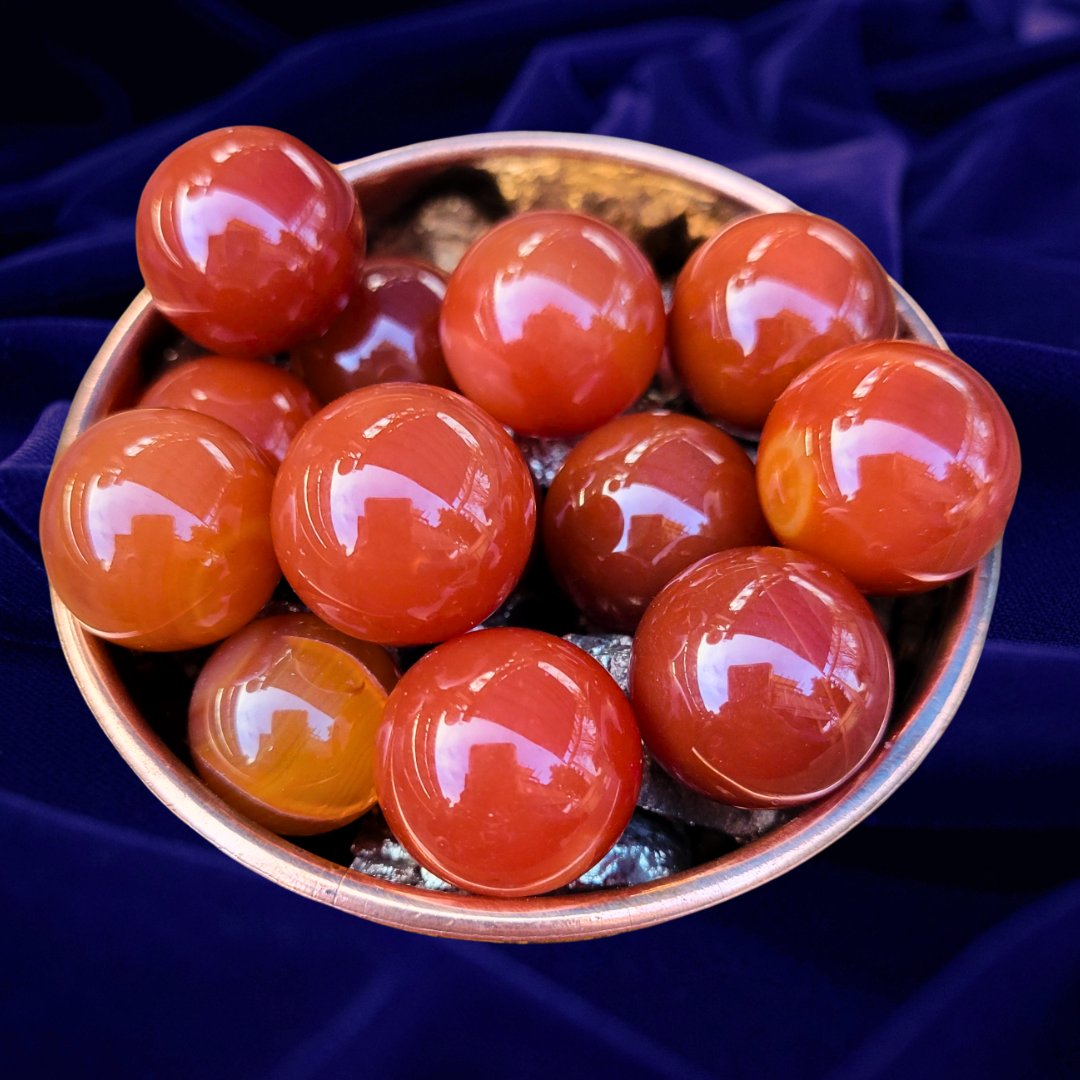 Atticus, The Eternal Phoenix: Golden Guardian of Rebirth & Transformation