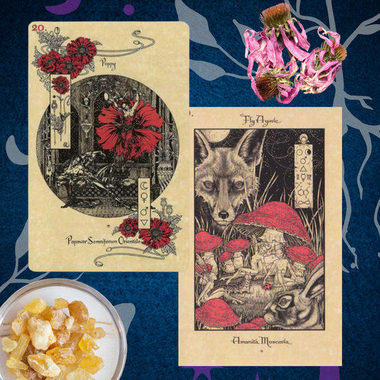 The Witch’s Green Grimoire: A Magickal Botanical Oracle