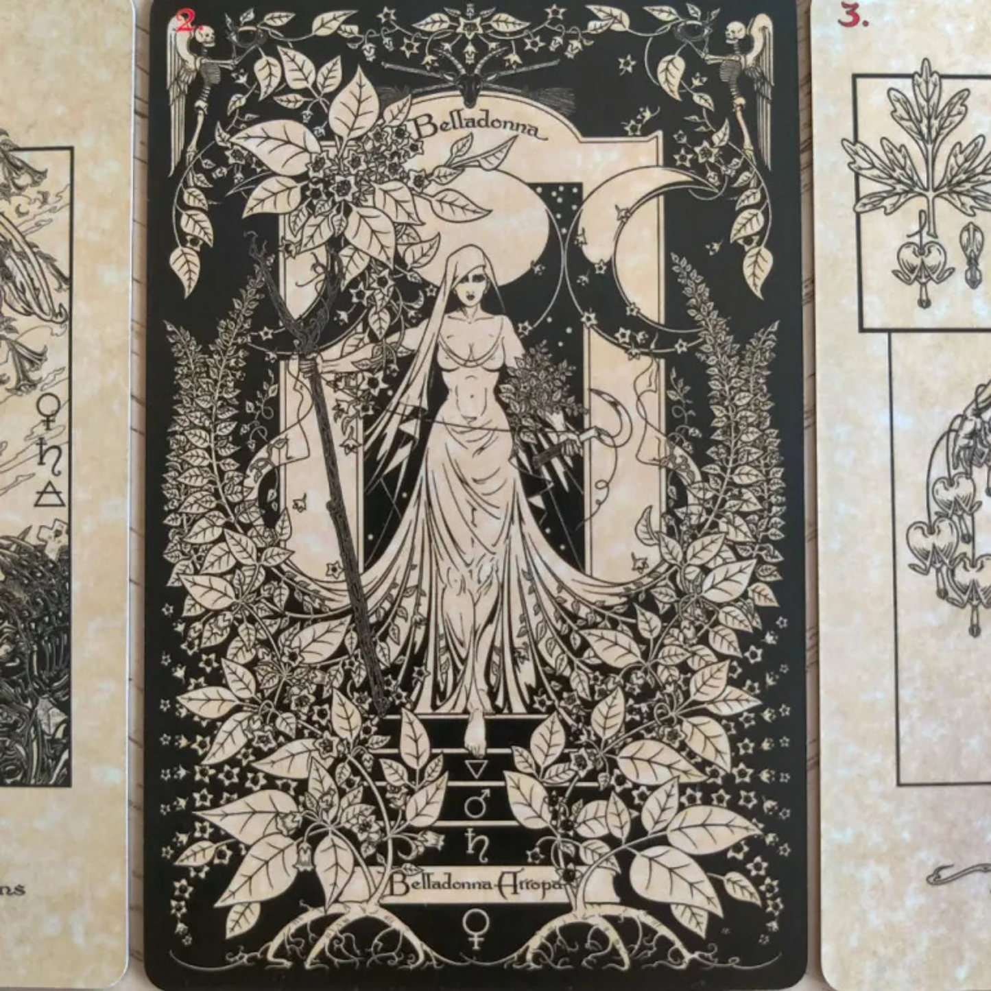 The Witch’s Green Grimoire: A Magickal Botanical Oracle