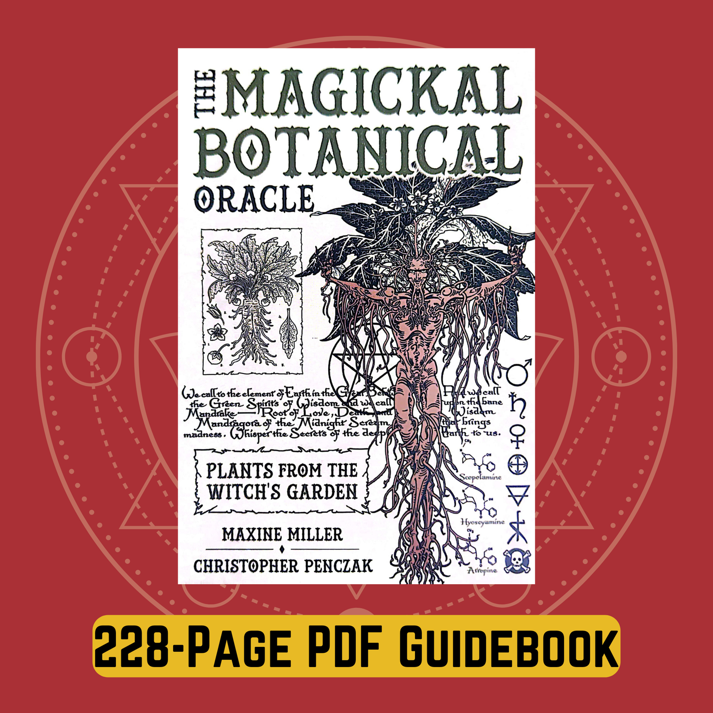 The Witch’s Green Grimoire: A Magickal Botanical Oracle