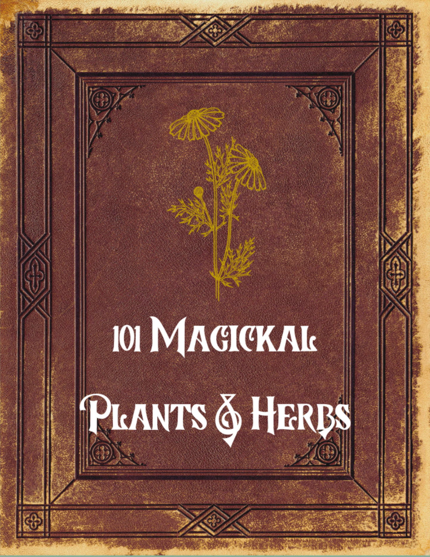 Magical Healing Herbs & Plants Grimoire Pages PDF - Perfect Digital Spell book