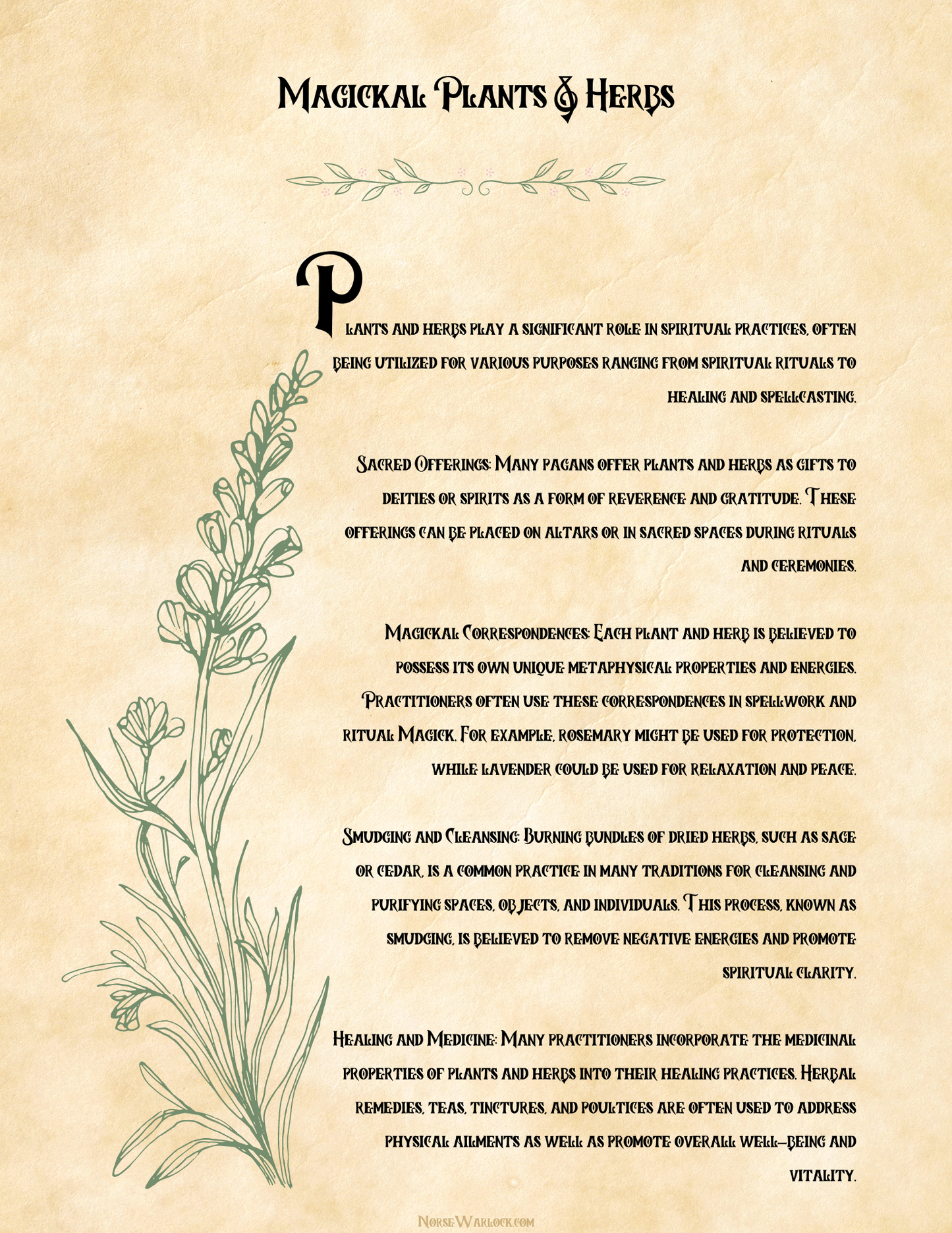 Magical Healing Herbs & Plants Grimoire Pages PDF - Perfect Digital Spell book